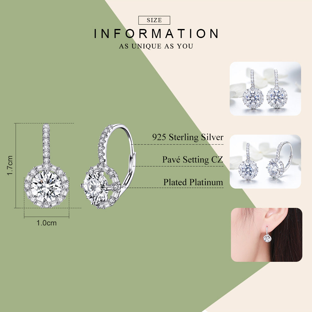 Shining Time 925 sterling silver earrings with fashionable anti allergy earrings